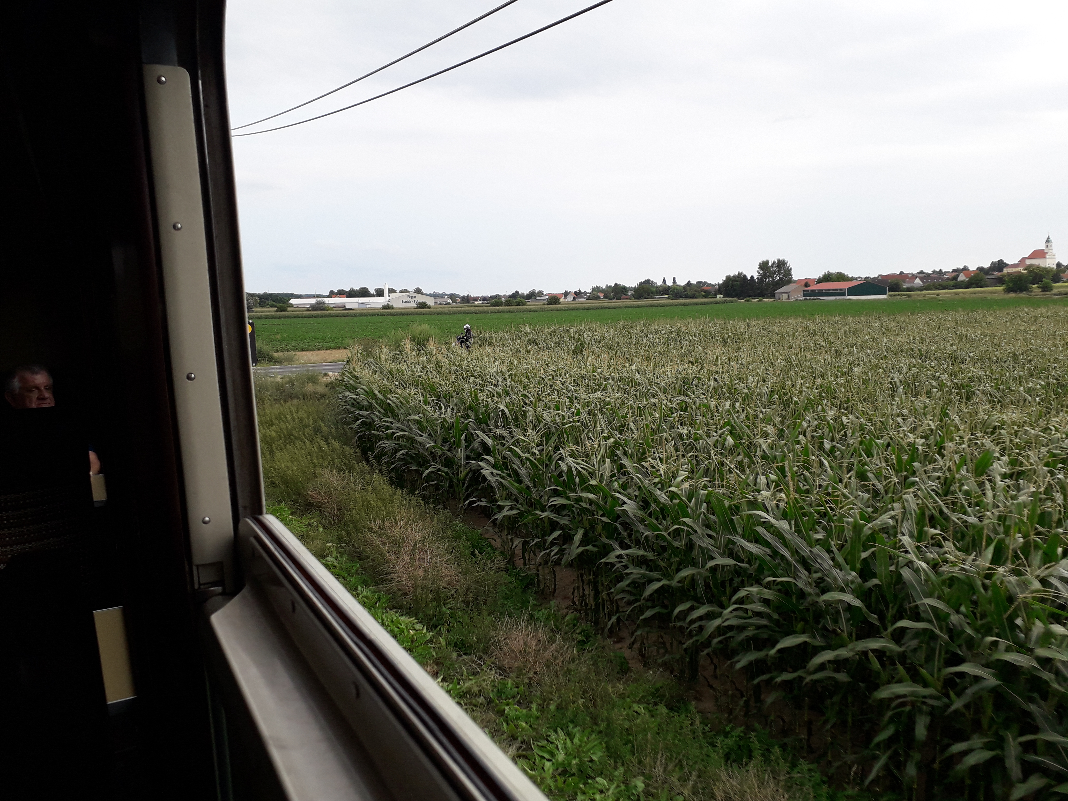 20190812_161658.jpg