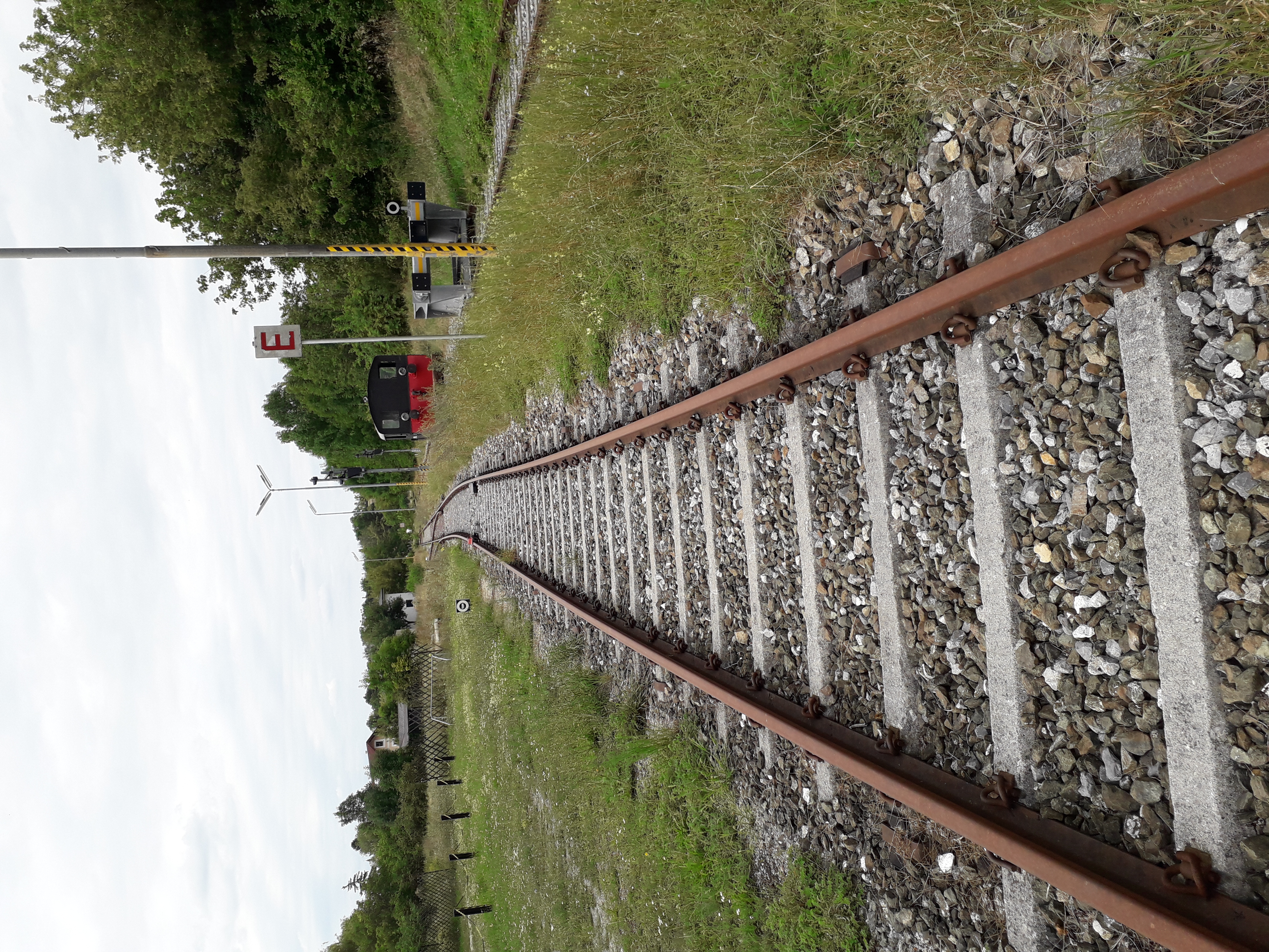 20190812_162249.jpg
