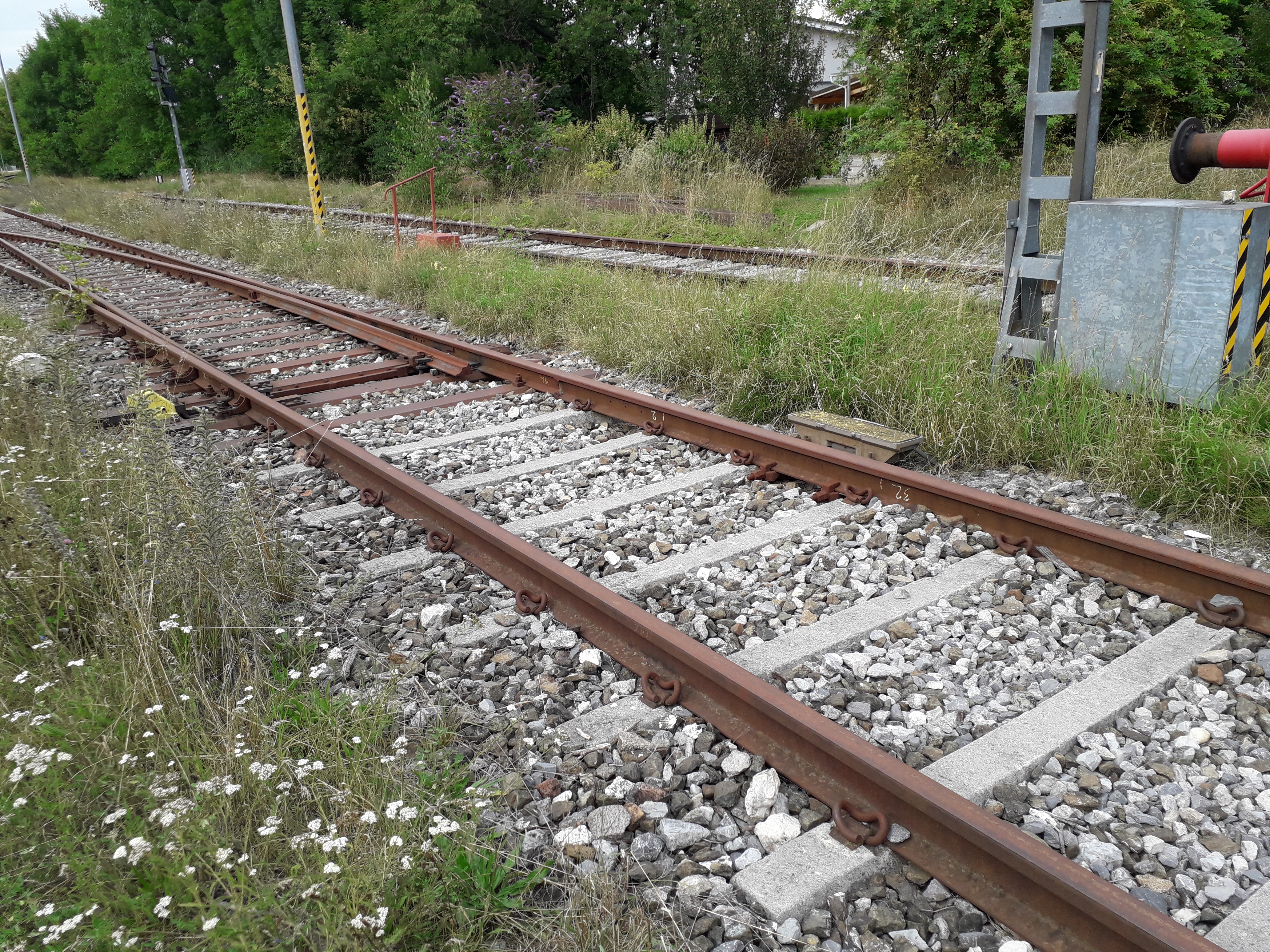 20190812_162329.jpg