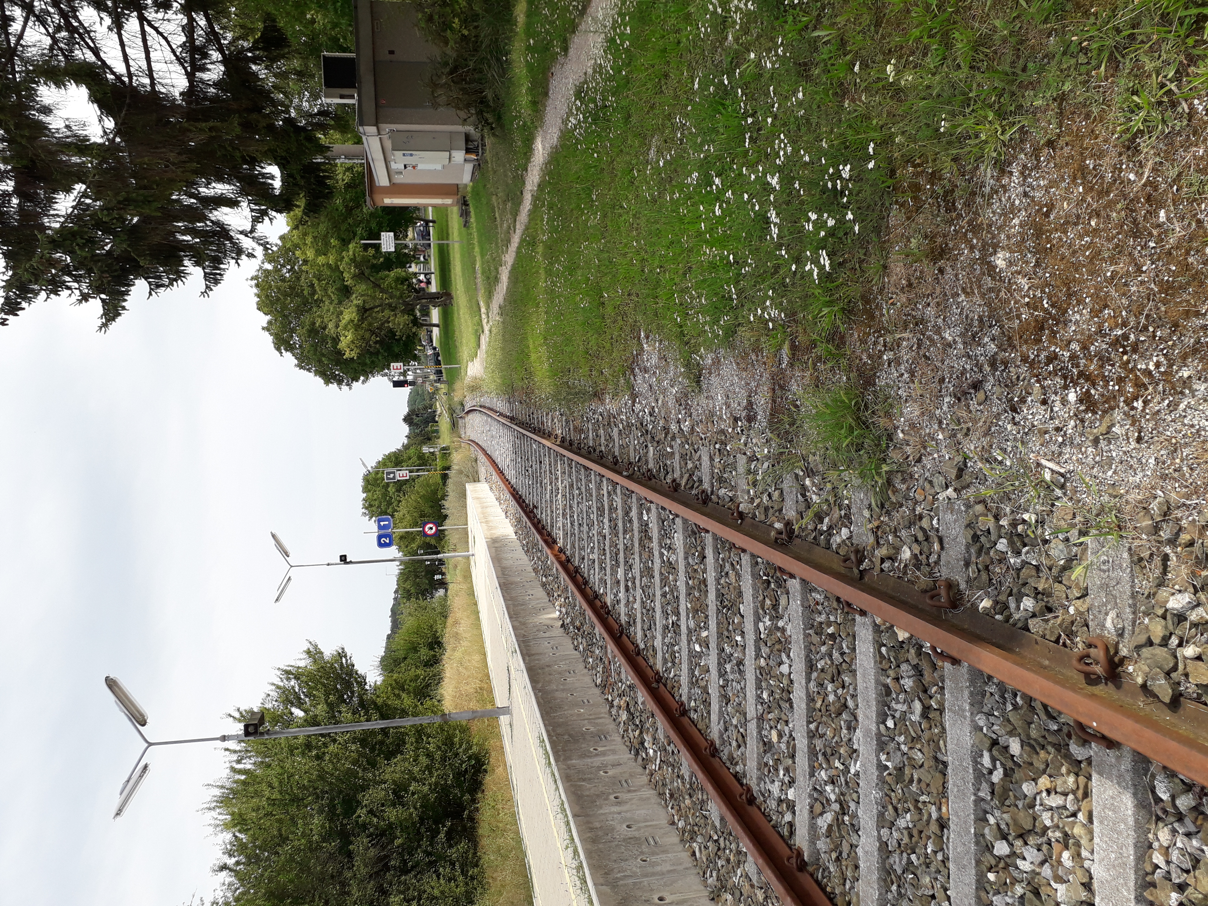 20190812_162455.jpg