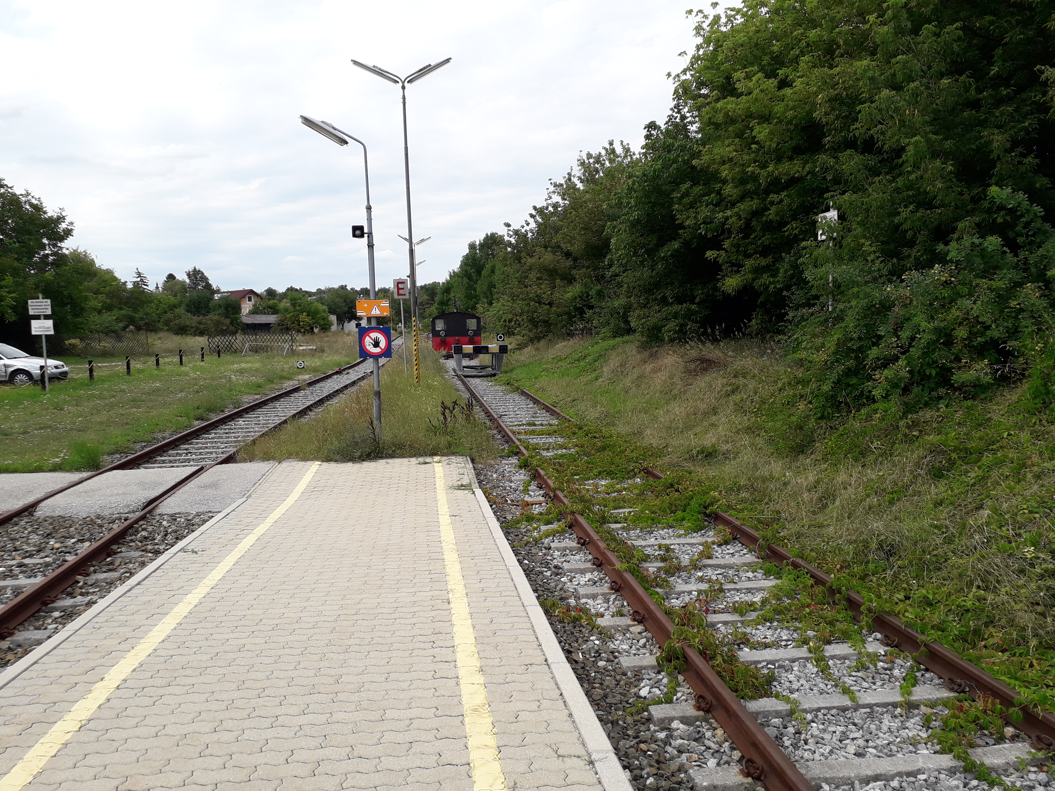20190812_162546.jpg