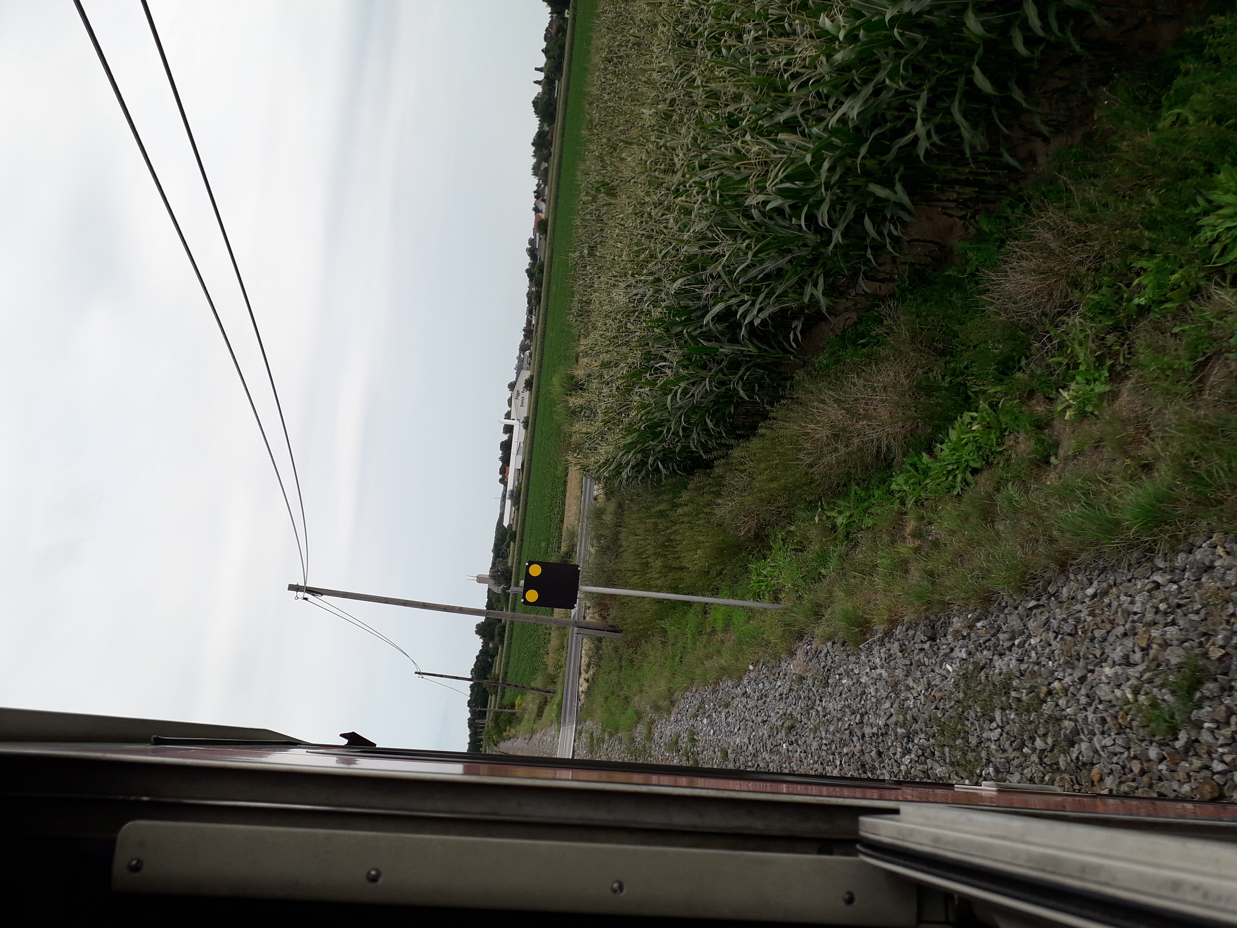 20190812_164054.jpg