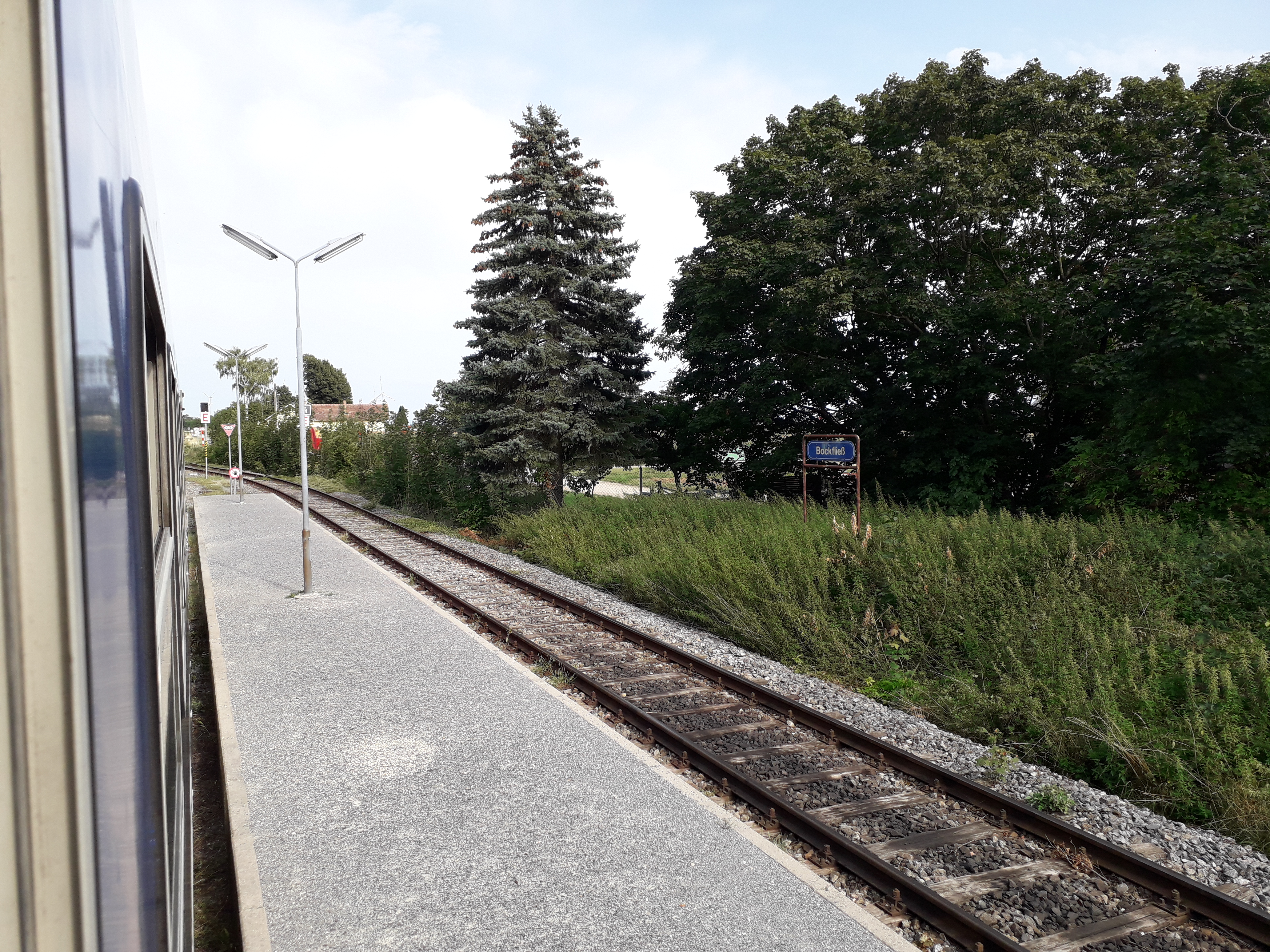 20190812_165944.jpg